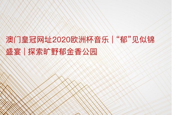 澳门皇冠网址2020欧洲杯音乐 | “郁”见似锦盛宴 | 探索旷野郁金香公园